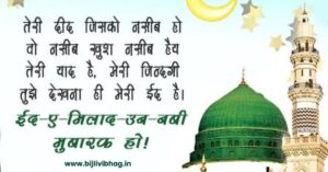 786 Best Milad Un Nabi Shayari In Hindi