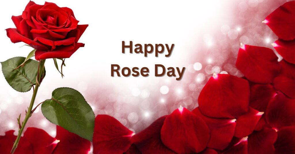 Rose Day