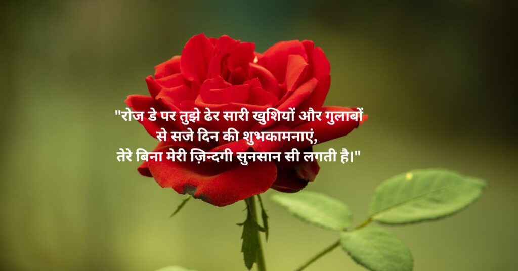 Rose Day Wishes for Wife in Hindi