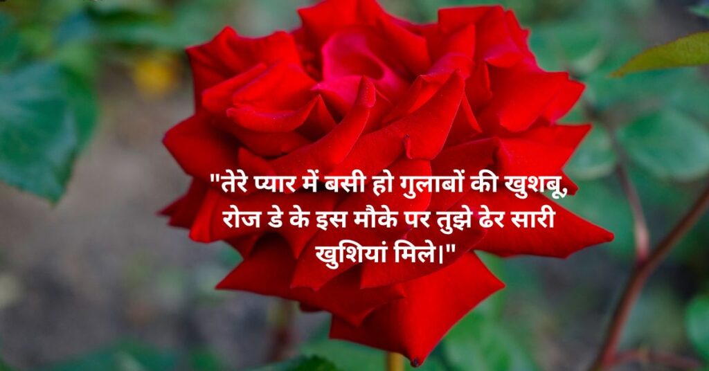 Happy Rose Day in Hindi