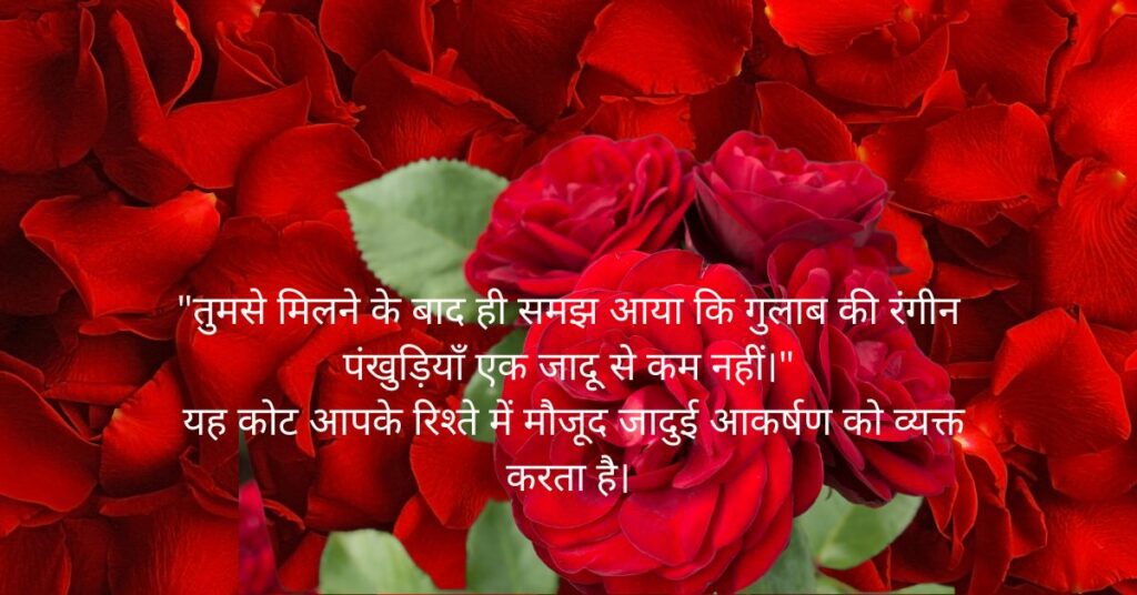  Rose Day Quotes For Love